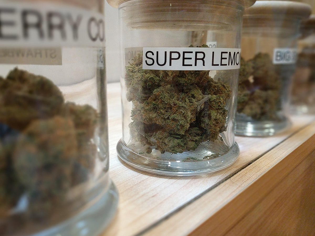 Diese Seedbanks liefern zuverlässig – Cannabissamen kaufen legal in Deutschland