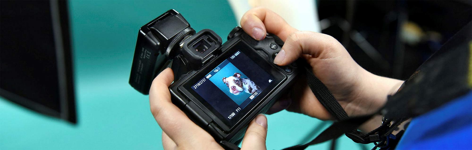 Erfolgreich fotografieren lernen – mit dem Fotokurs Hamburg