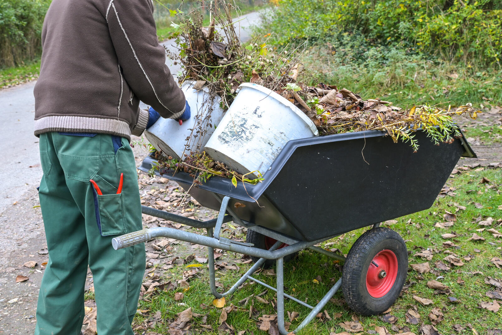 Gartenabfall entsorgen: Die besten Möglichkeiten für Hamburg und Umgebung