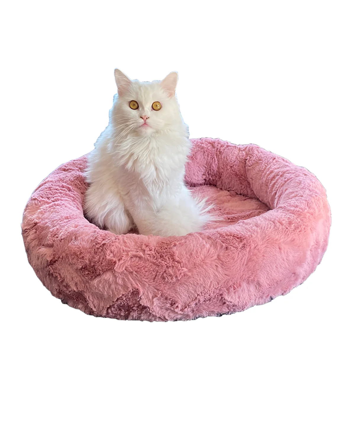 Die besten Katzensofaen für verschiedene Katzenrassen